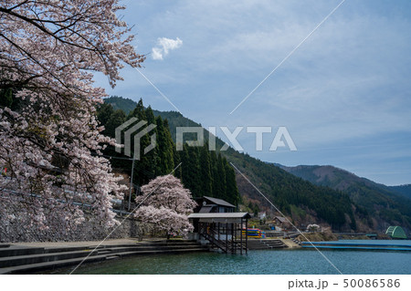 春の音水湖　引原ダム 50086586