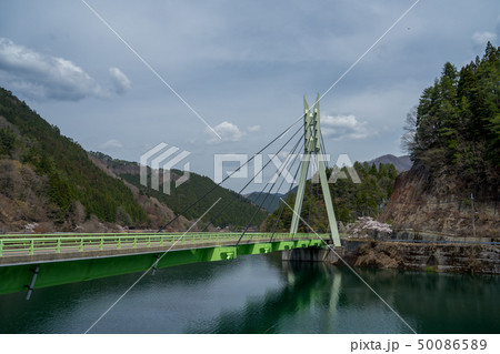 春の音水湖　引原ダム 50086589