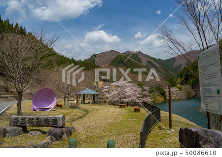 春の音水湖　引原ダム 50086610