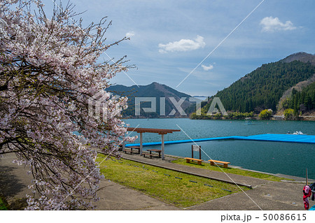 春の音水湖　引原ダム 50086615