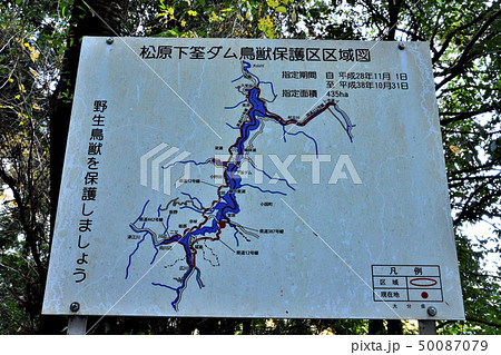 まだ見ぬ絶景　 秘境の紅葉風景 　熊本県阿蘇郡小国町・大分県日田市県境 (蜂の巣湖・下筌ダム周辺) 50087079