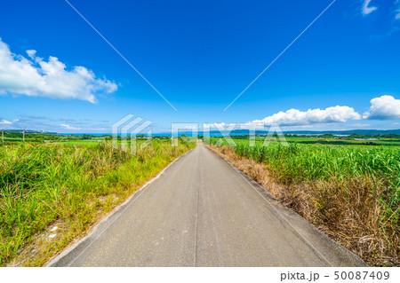 屋我地島 50087409
