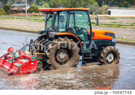 農業　稲田　畑　農作業 50087748