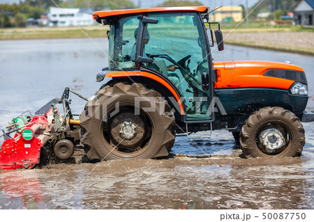 農業　稲田　畑　農作業 50087750