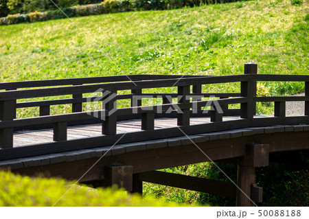 公園 緑 散歩 自然 公園 緑 散歩 自然 50088188