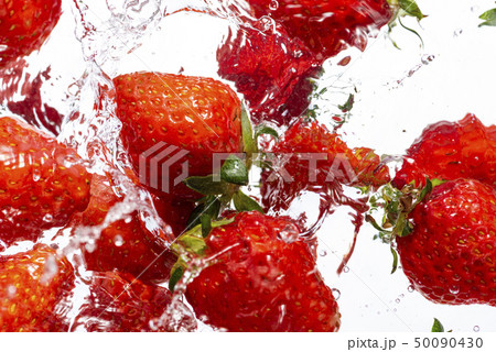 新鮮な苺 新鮮な苺 50090430