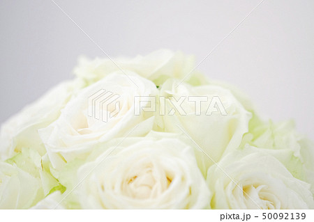 白いバラの花 50092139