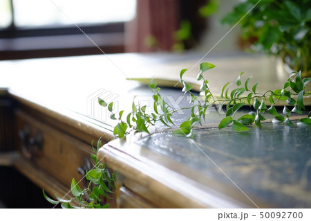 商品ステージ 50092700