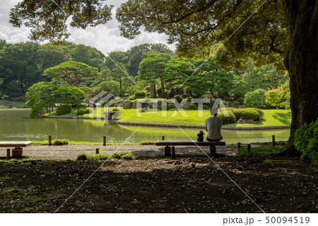 東京の公園 東京の公園 50094519