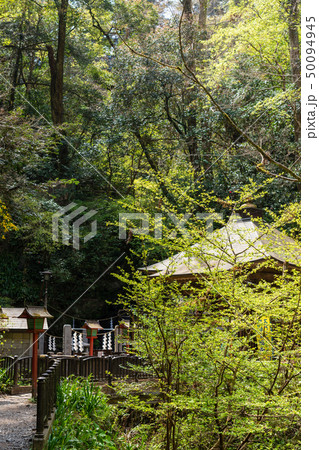 高尾山 びわ滝 水行道場 高尾山 びわ滝 水行道場 50094945
