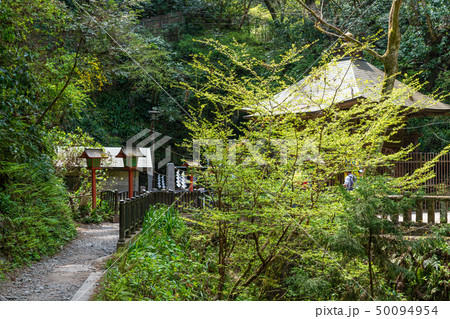 高尾山 びわ滝 水行道場 高尾山 びわ滝 水行道場 50094954