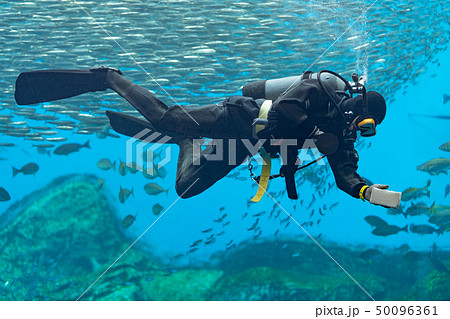 水槽を掃除するダイバー 50096361