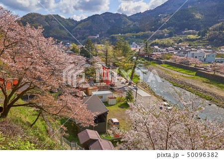 島根(山陰の小京都)の津和野 太鼓谷稲成神社千本鳥居の参道から津和野川、津和野町を見る 島根(山陰の小京都)の津和野 太鼓谷稲成神社千本鳥居の参道から津和野川、津和野町を見る 50096382