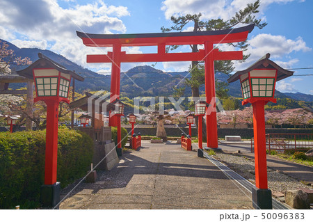 島根(山陰の小京都)の津和野 太鼓谷稲成神社千本鳥居入口の鳥居を参道側から見る 島根(山陰の小京都)の津和野 太鼓谷稲成神社千本鳥居入口の鳥居を参道側から見る 50096383