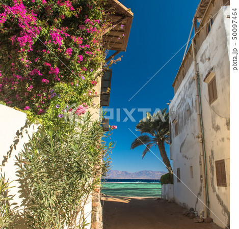 Coast of Red Sea, in Gulf of Aqaba, near Dahab.Egypt 50097464