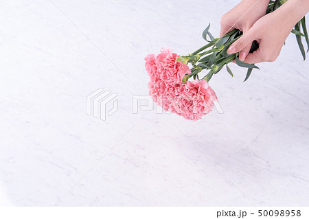 花 フラワー お花 50098958