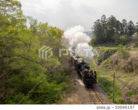 SLパレオエクスプレス 50099197