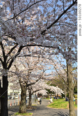 横浜・反町公園 横浜・反町公園 50100270