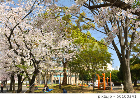横浜・反町公園 50100341