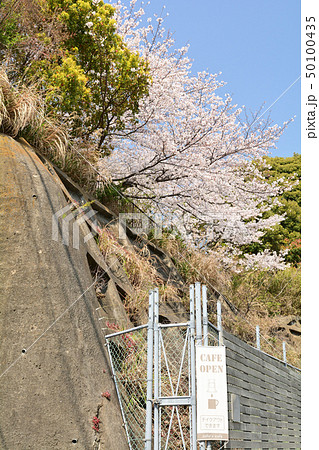 横浜・幸ケ谷公園 50100435