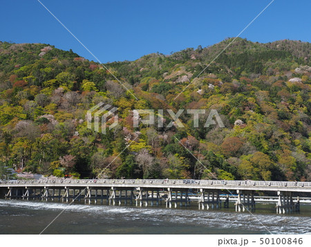嵐山の桜と渡月橋 嵐山の桜と渡月橋 50100846