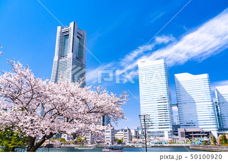 《神奈川県》春のみなとみらい・桜満開 《神奈川県》春のみなとみらい・桜満開 50100920
