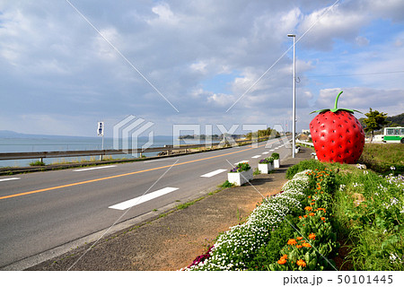 フルーツバス停　井崎バス停　長崎県諫早市小長井町 50101445