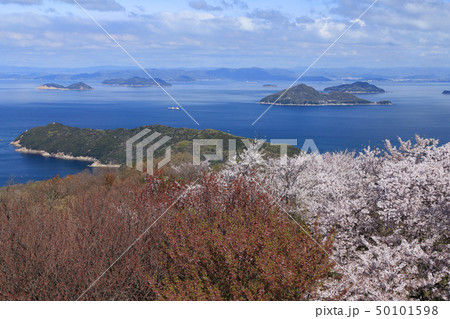 紫雲出山から見る荘内半島の桜と備讃瀬戸・備後灘にうかぶ「笠岡諸島、芸予諸島」 50101598
