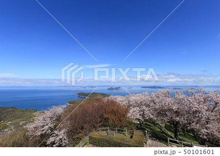 紫雲出山山頂園地から見る荘内半島の桜と備讃瀬戸・備後灘にうかぶ「笠岡諸島、芸予諸島」 紫雲出山山頂園地から見る荘内半島の桜と備讃瀬戸・備後灘にうかぶ「笠岡諸島、芸予諸島」 50101601