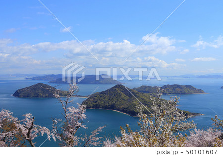 紫雲出山から見る荘内半島の桜と粟島、高見島 50101607