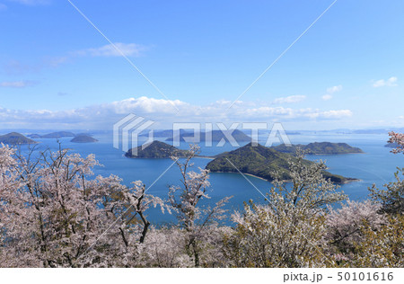 紫雲出山から見る荘内半島の桜と粟島、高見島 50101616