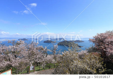 紫雲出山山頂園地から見る荘内半島の桜と粟島、高見島、佐栁島 紫雲出山山頂園地から見る荘内半島の桜と粟島、高見島、佐栁島 50101617