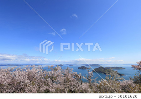 紫雲出山山頂園地から見る荘内半島の桜と粟島、高見島、佐栁島 紫雲出山山頂園地から見る荘内半島の桜と粟島、高見島、佐栁島 50101620