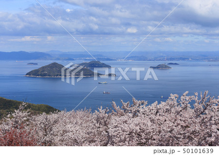 紫雲出山から見る荘内半島の桜と六島、大飛島、小飛島 50101639