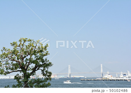 横浜・臨港パーク 横浜・臨港パーク 50102486