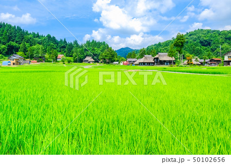 夏の農村風景 (荻ノ島環状集落) 夏の農村風景 (荻ノ島環状集落) 50102656