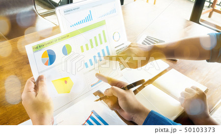 Business report statement for analysis and review  50103373