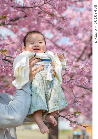 桜と家族写真 50103468