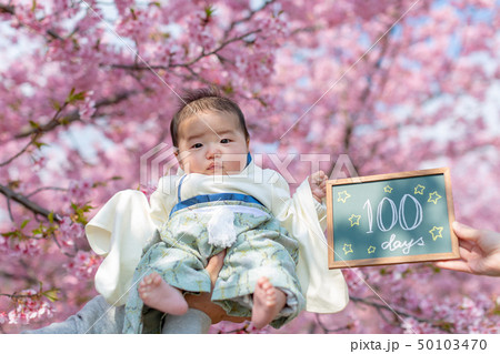 桜と家族写真 50103470