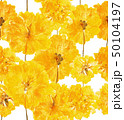 Pressed and dried summer yellow flowers on a white pattern 50104197