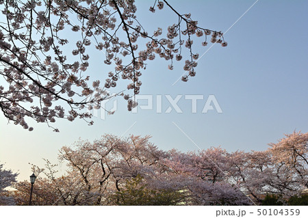 横浜・掃部山公園 横浜・掃部山公園 50104359