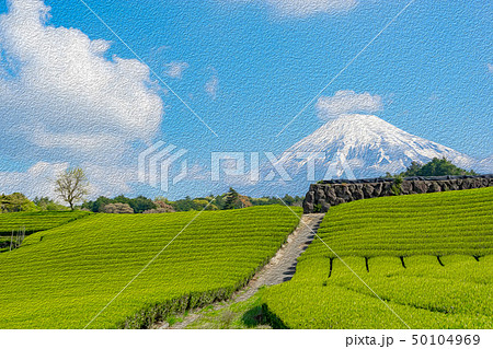 静岡県 富士山と茶畑のイラスト素材