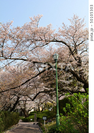 横浜・山手公園 横浜・山手公園 50105303