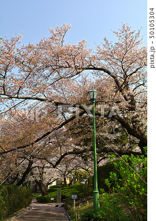 横浜・山手公園 横浜・山手公園 50105304