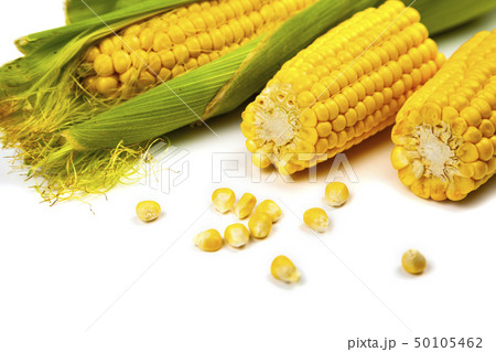 Ripe corn on white background Ripe corn on white background 50105462