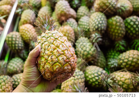 group of pineapple fruit 50105713