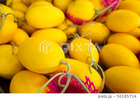 yellow tropical fruit of canistel yellow tropical fruit of canistel 50105714