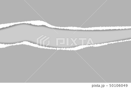 Ripped paper. Vector of ripped paper. The paper Ripped paper. Vector of ripped paper. The paper 50106049