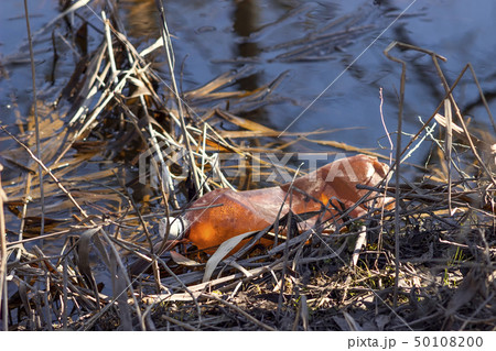 Water pollution, empty plastic bottles. Water pollution, empty plastic bottles. 50108200
