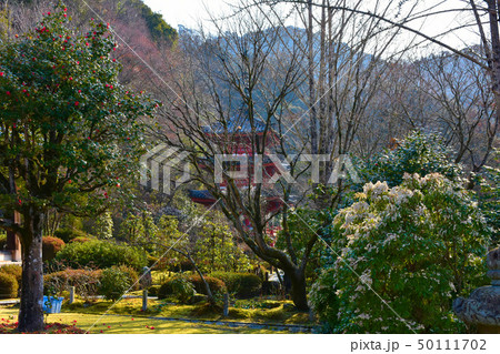 三室戸寺 三重塔 三室戸寺 三重塔 50111702